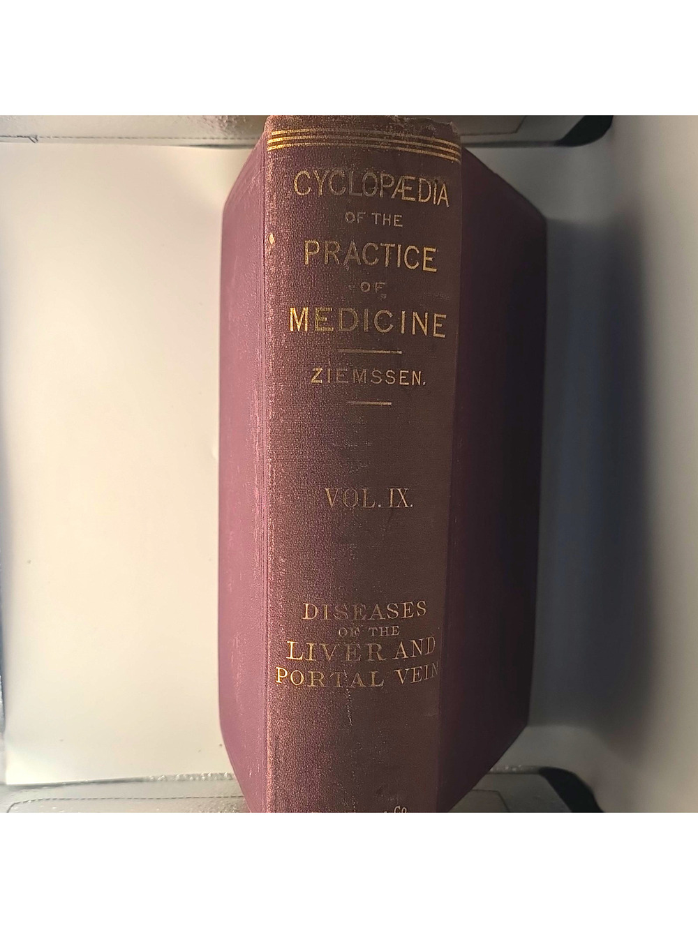 H. von Ziemssen Cyclopaedia Practice Medicine Vol IX Liver HC Illus 1880